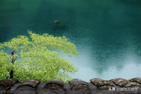 夢見落大雨|周公解夢大全：夢見下大雨，表明你的運勢將有這些改變